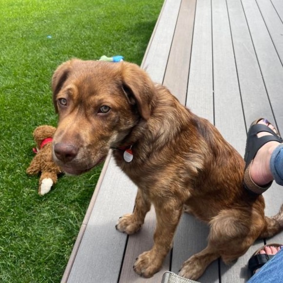 Meet your Posher, Crystal - Picture 1 of 1